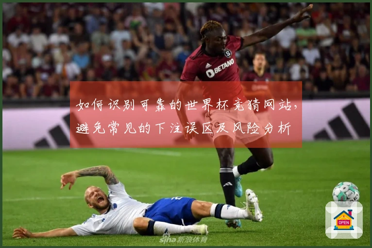 如何识别可靠的世界杯竞猜网站，避免常见的下注误区及风险分析