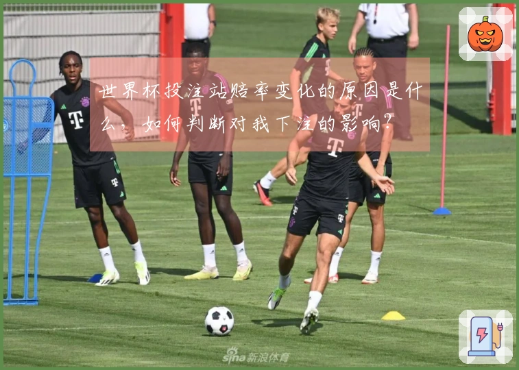 世界杯投注站赔率变化的原因是什么,如何判断对我下注的影响?