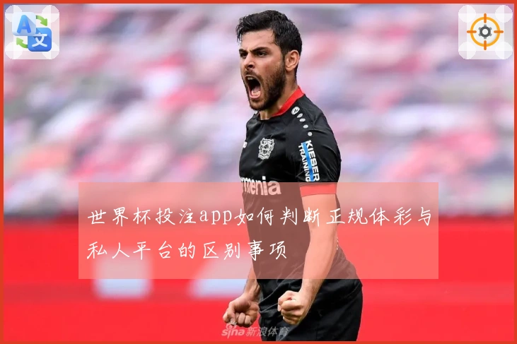 世界杯投注app如何判断正规体彩与私人平台的区别事项