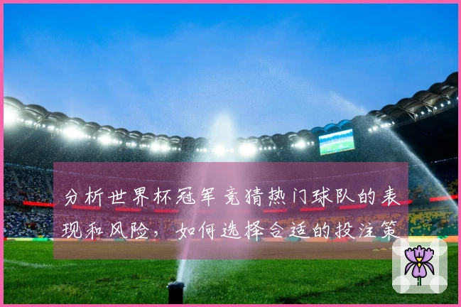 分析世界杯冠军竞猜热门球队的表现和风险，如何选择合适的投注策略
