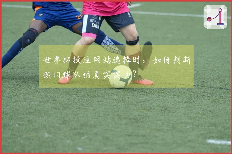 世界杯投注网站选择时，如何判断热门球队的真实实力？
