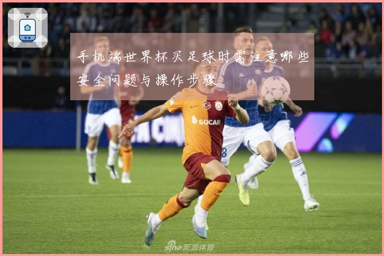 手机端世界杯买足球时需注意哪些安全问题与操作步骤