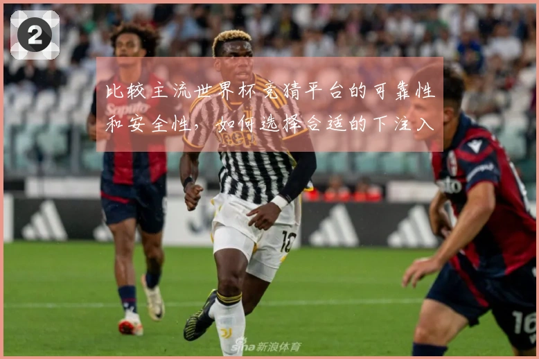 比较主流世界杯竞猜平台的可靠性和安全性，如何选择合适的下注入口？