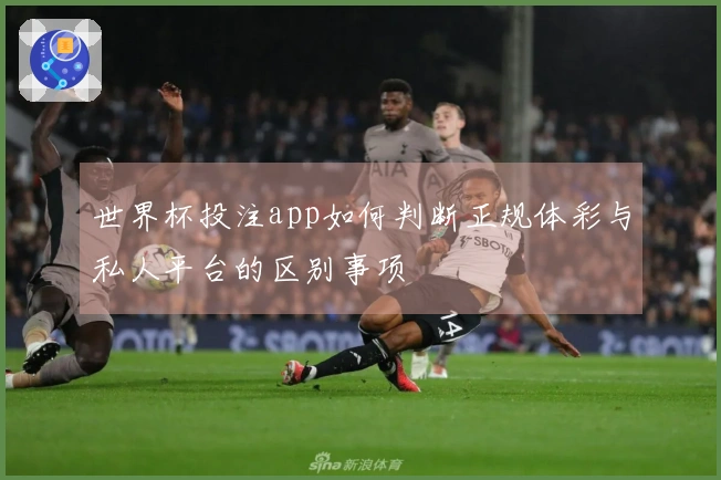 世界杯投注app如何判断正规体彩与私人平台的区别事项