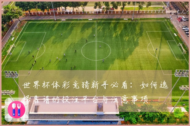 世界杯体彩竞猜新手必看：如何选择靠谱的投注平台与注意事项