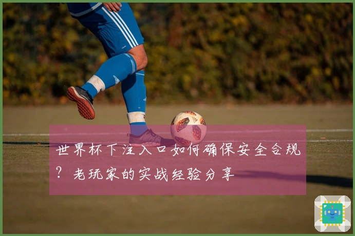 世界杯下注入口如何确保安全合规?老玩家的实战经验分享