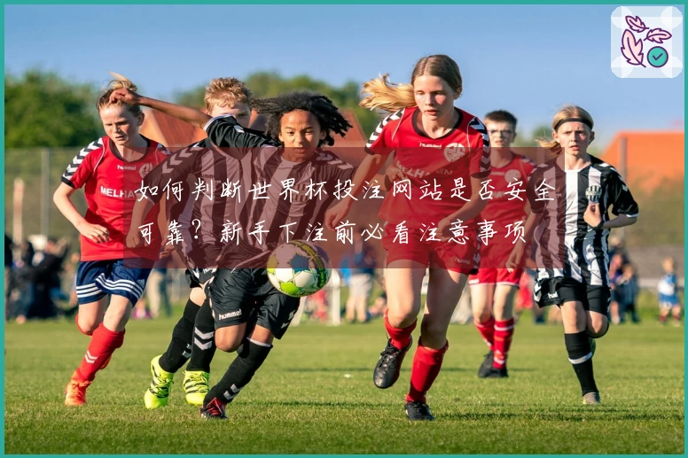 如何判断世界杯投注网站是否安全可靠？新手下注前必看注意事项
