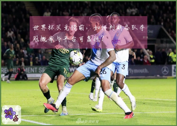 世界杯买竞猜前，如何判断各队夺冠概率与平台可靠性？