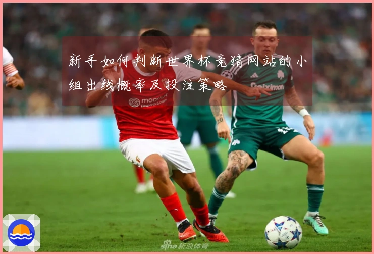 新手如何判断世界杯竞猜网站的小组出线概率及投注策略