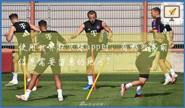 使用世界杯买球app时，有哪些赛前信息需要留意的地方？