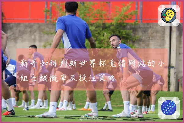 新手如何判断世界杯竞猜网站的小组出线概率及投注策略