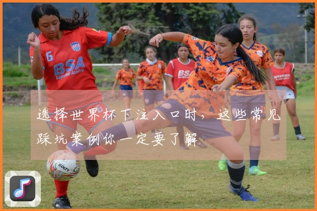 选择世界杯下注入口时，这些常见踩坑案例你一定要了解